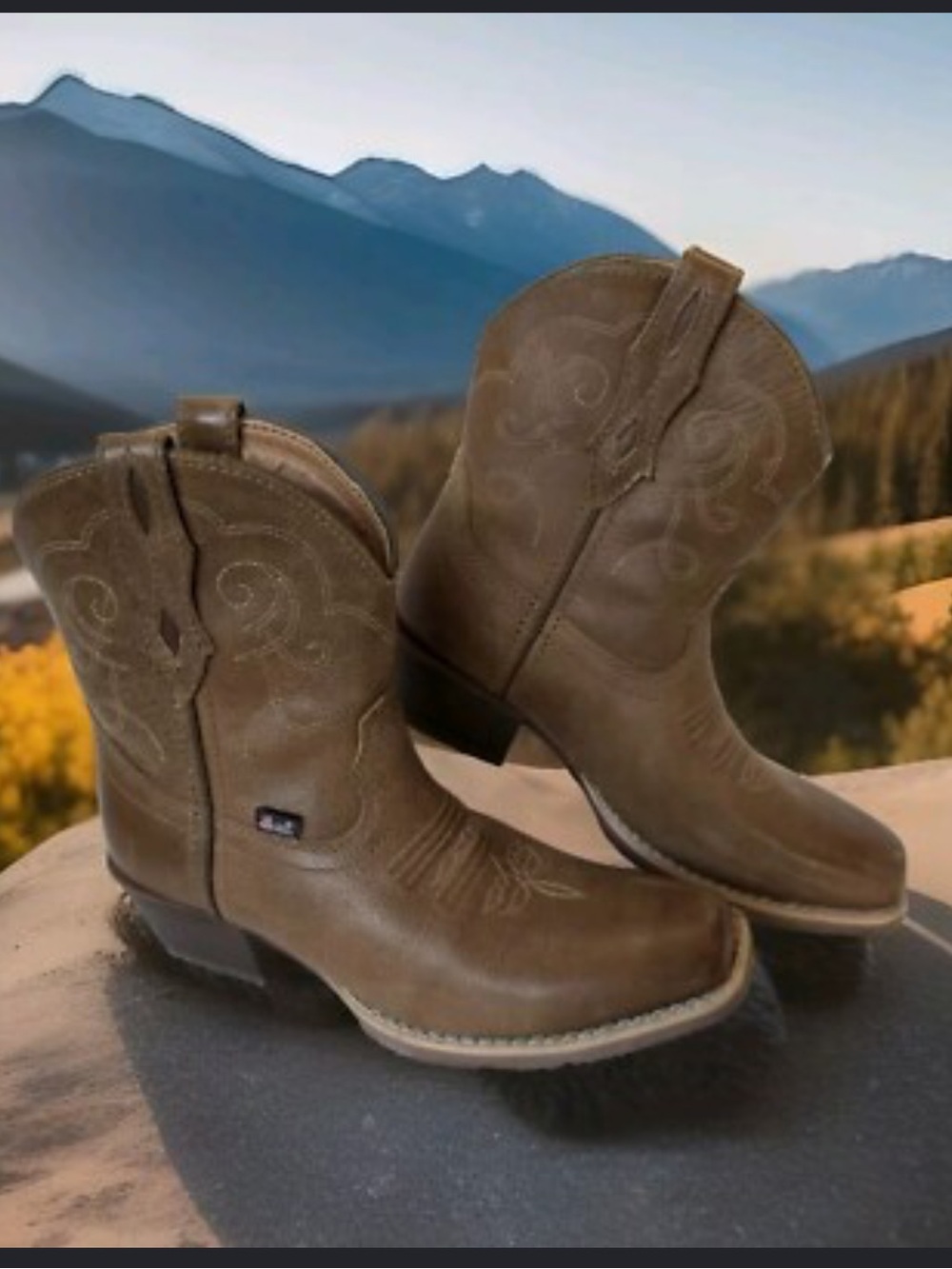 Justin Women's Cowboy Boots
